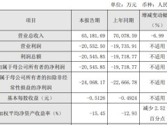 安路科技2024年增亏 2021年上市募13亿元